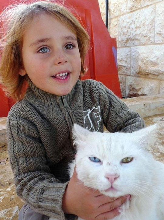 funny-kid-cat-eyes-colors