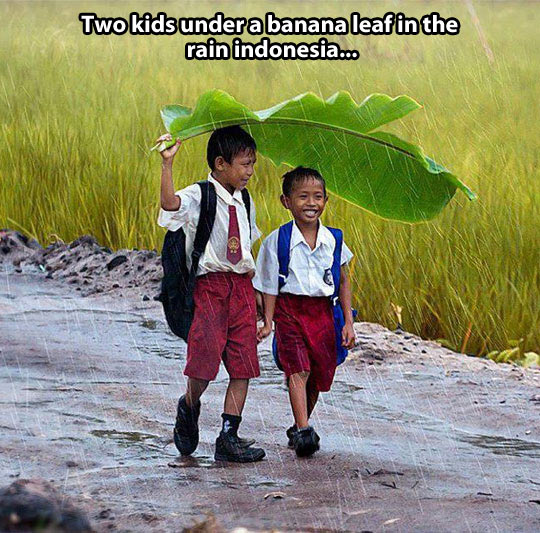 Two friends and a banana leaf…