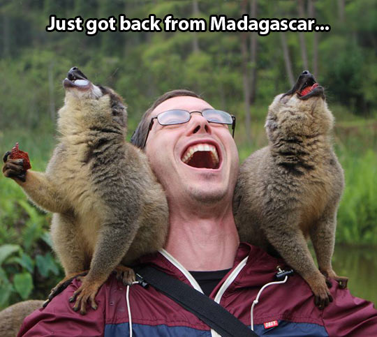 Back from Madagascar…