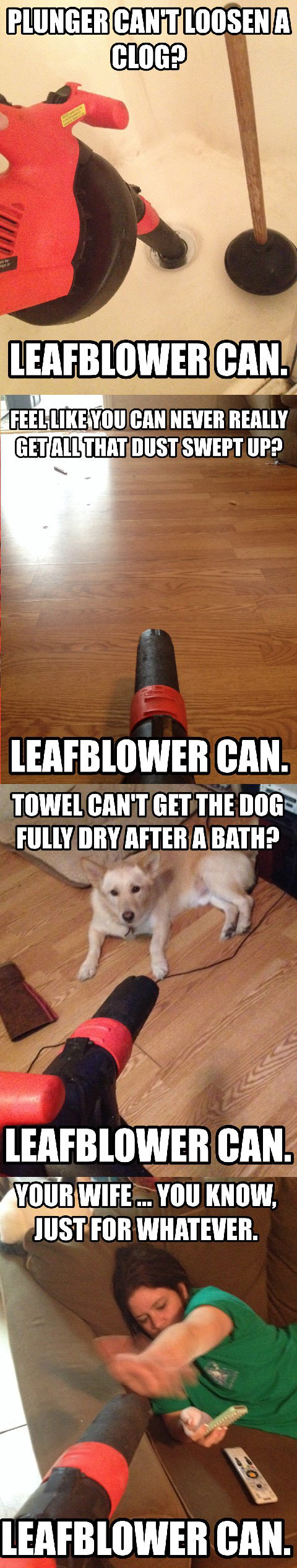 Leaf blowers can achieve anything…