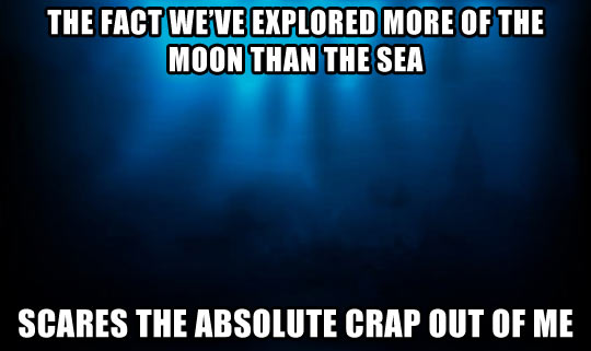 funny-moon-sea-explored-scared