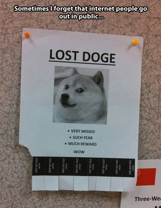 Please find my dog…