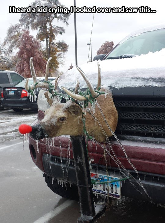 funny-reindeer-Rudolph-truck-head-frozen