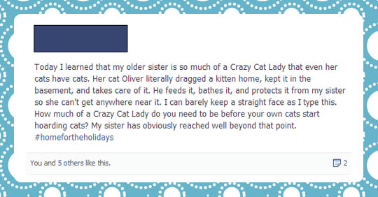 Crazy cat sister…