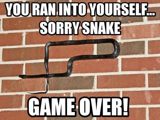 Game over snake…