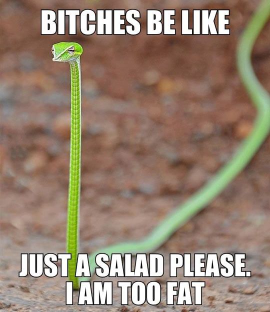 funny-snake-skinny-salad-fat