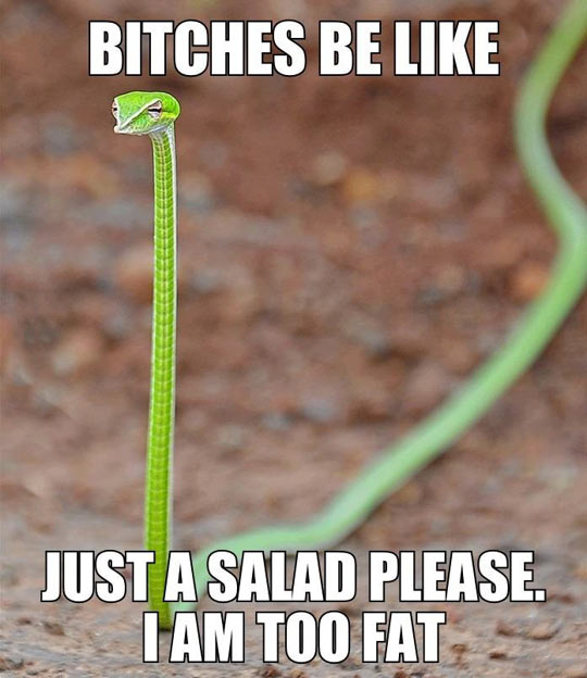 Just a salad…