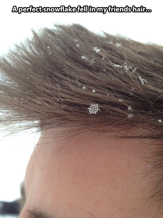 Perfect snowflake…