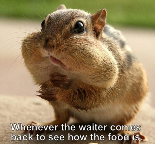 Every time the waiter comes back…