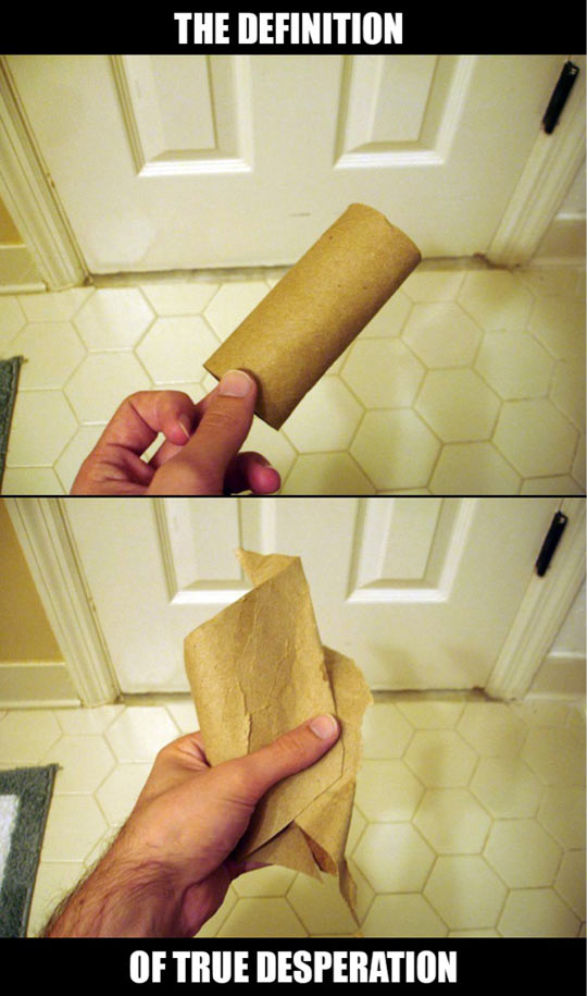 funny-toilet-paper-desperation-definition