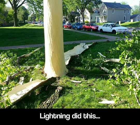 funny-tree-lightning-effects-broken