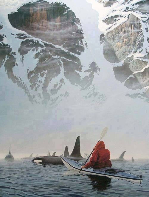 cool-Alaska-orcas-white-cold