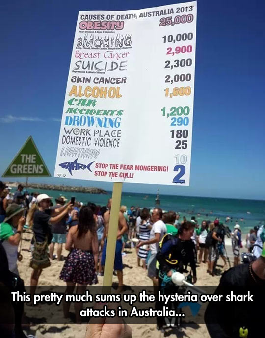 Shark attacks in Australia…