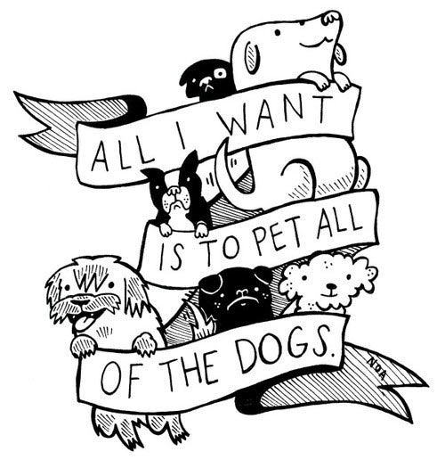 Pet all dogs…