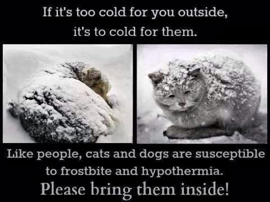 Something to remember with the cold weather…