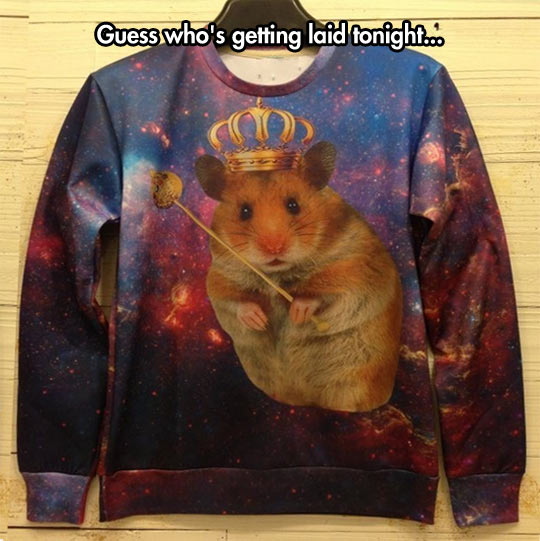 cool-hamster-queen-shirt-cute