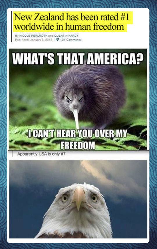 funny-America-freedom-eagle-New-Zealand
