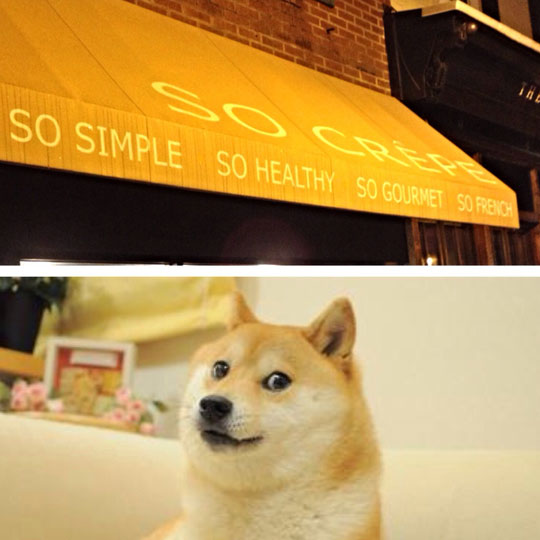 funny-Doge-restaurant-banner