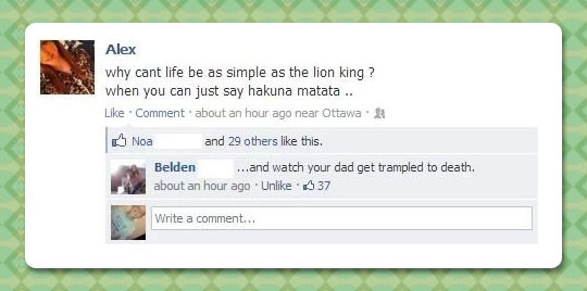 funny-Facebook-comment-Lion-King