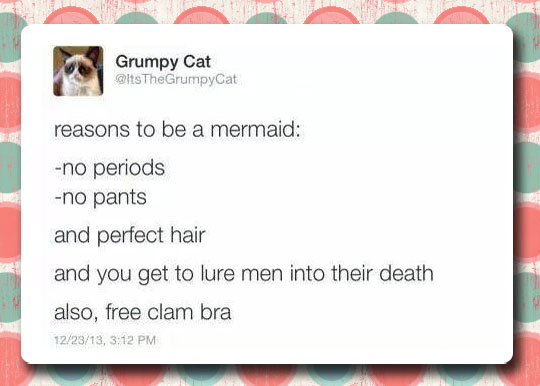 funny-Grumpy-Cat-reasons-mermaid