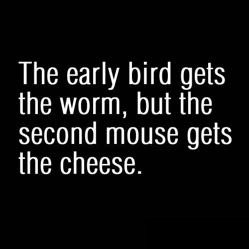 funny-bird-mouse-cheese-worm
