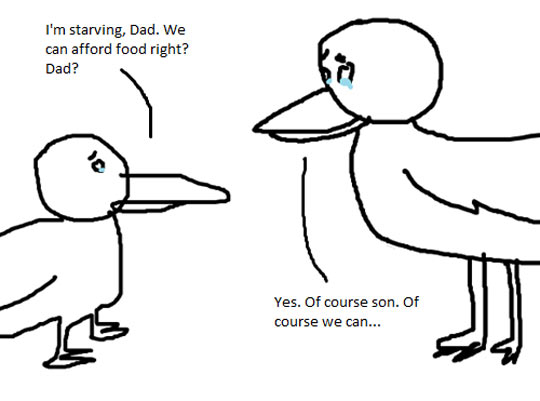funny-bird-seagull-steal-store-comic-snack