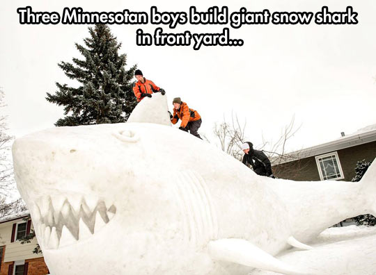 funny-boys-ice-snow-shark-sculpture