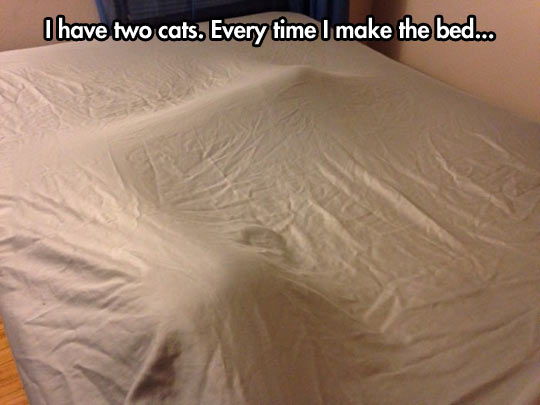 Every time I make the bed…