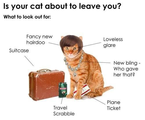 Oh dear, my cat is leaving me…