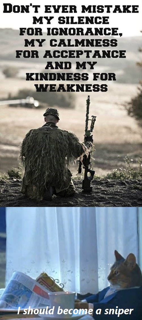 funny-cat-sniper-war-weakness