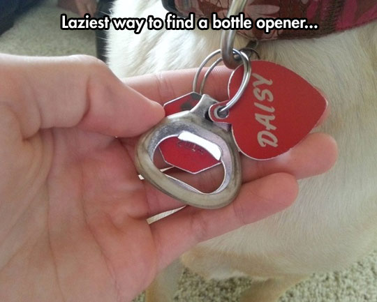 funny-dog-collar-bottle-opener