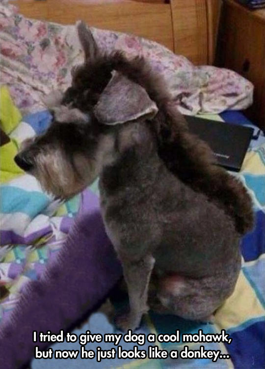 That’s a nice haircut…