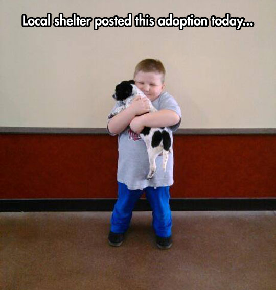 funny-fat-kid-adoption-shelter