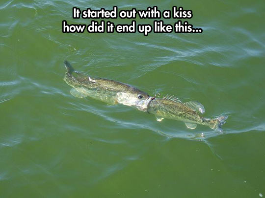 It was only a kiss, it was only a kiss…