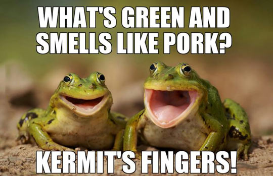 Two happy frogs joking around…