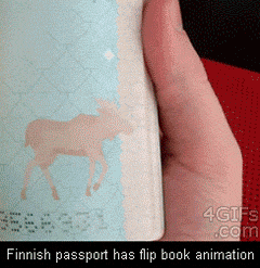 Finnish Passport...