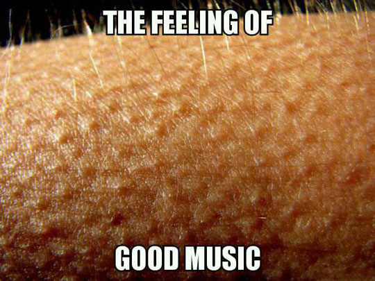 funny-goose-pimples-music-feeling
