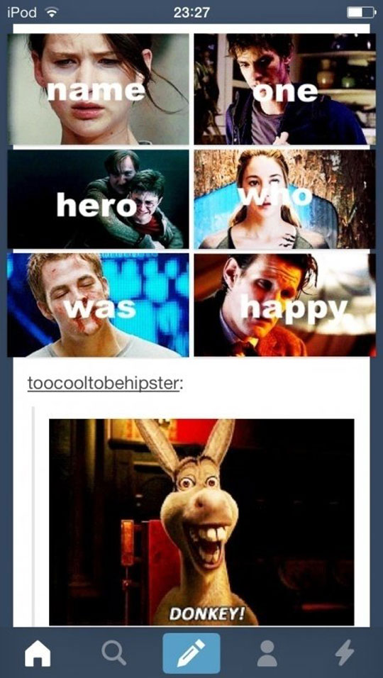 funny-hero-happy-movies-Donkey-Shrek-Harry-Potter