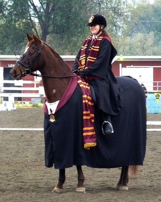 funny-horse-Harry-Potter-costume-glasses
