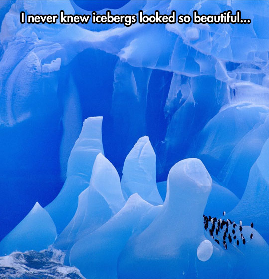 funny-iceberg-penguin-ice-water