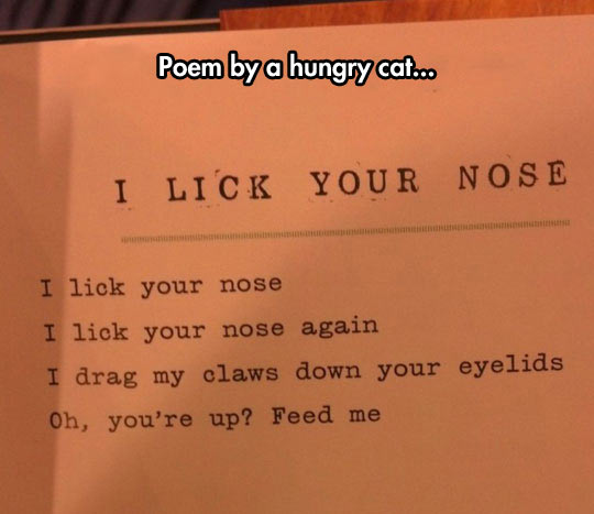 funny-poem-cat-nose-sheet