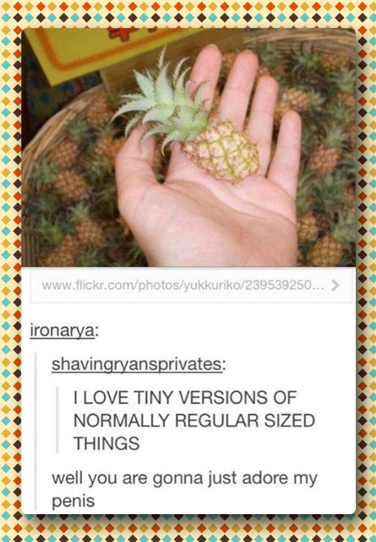funny-tiny-pineapple-version-hand-basket