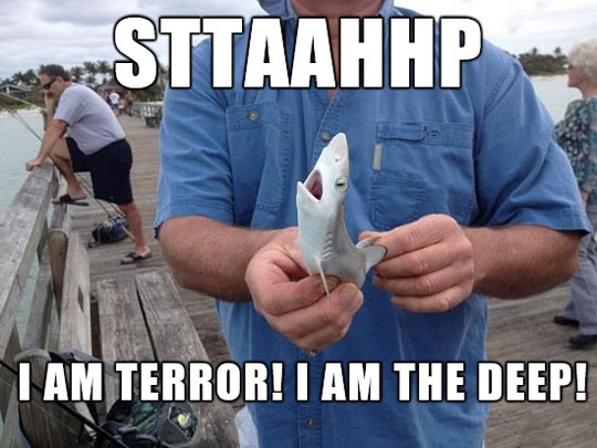 I’m a terrifying, tiny shark…