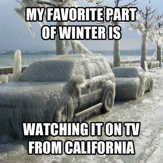 funny-winter-snow-ice-frozen-car