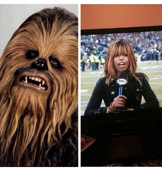 funny-wookie-Chewbacca-Pam-Oliver