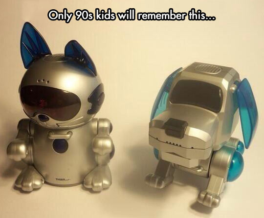 cool-Poochie-dog-cat-robot