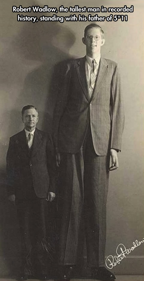 The tallest man in History…