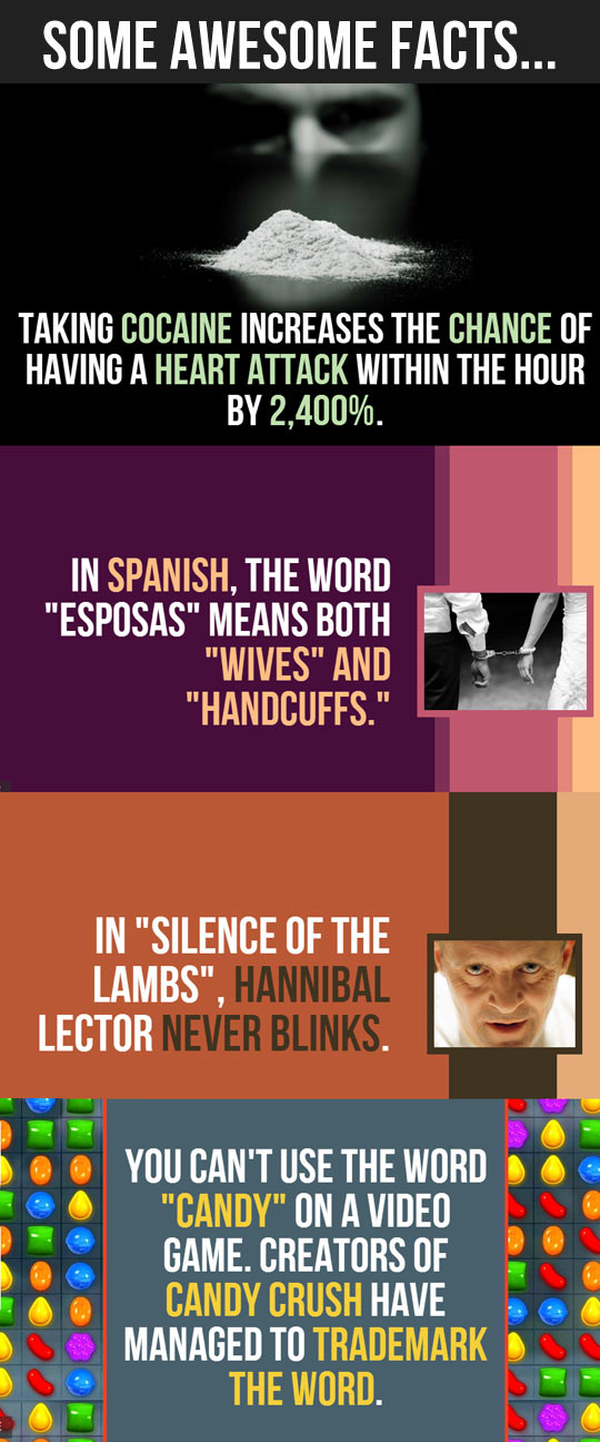 cool-awesome-facts-compilation-words