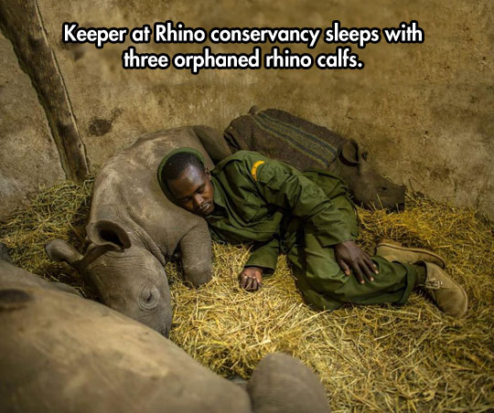cool-keeper-sleeping-rhino-calf-conservancy