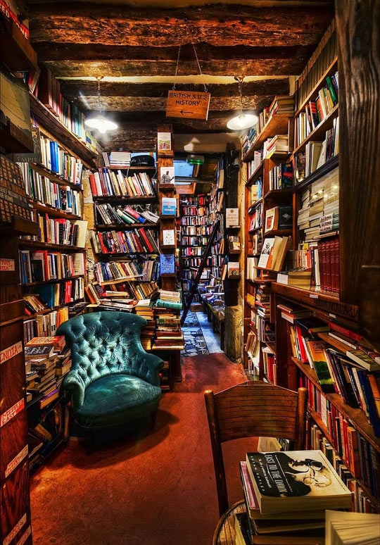 If I had this home library, I’d never leave the room…